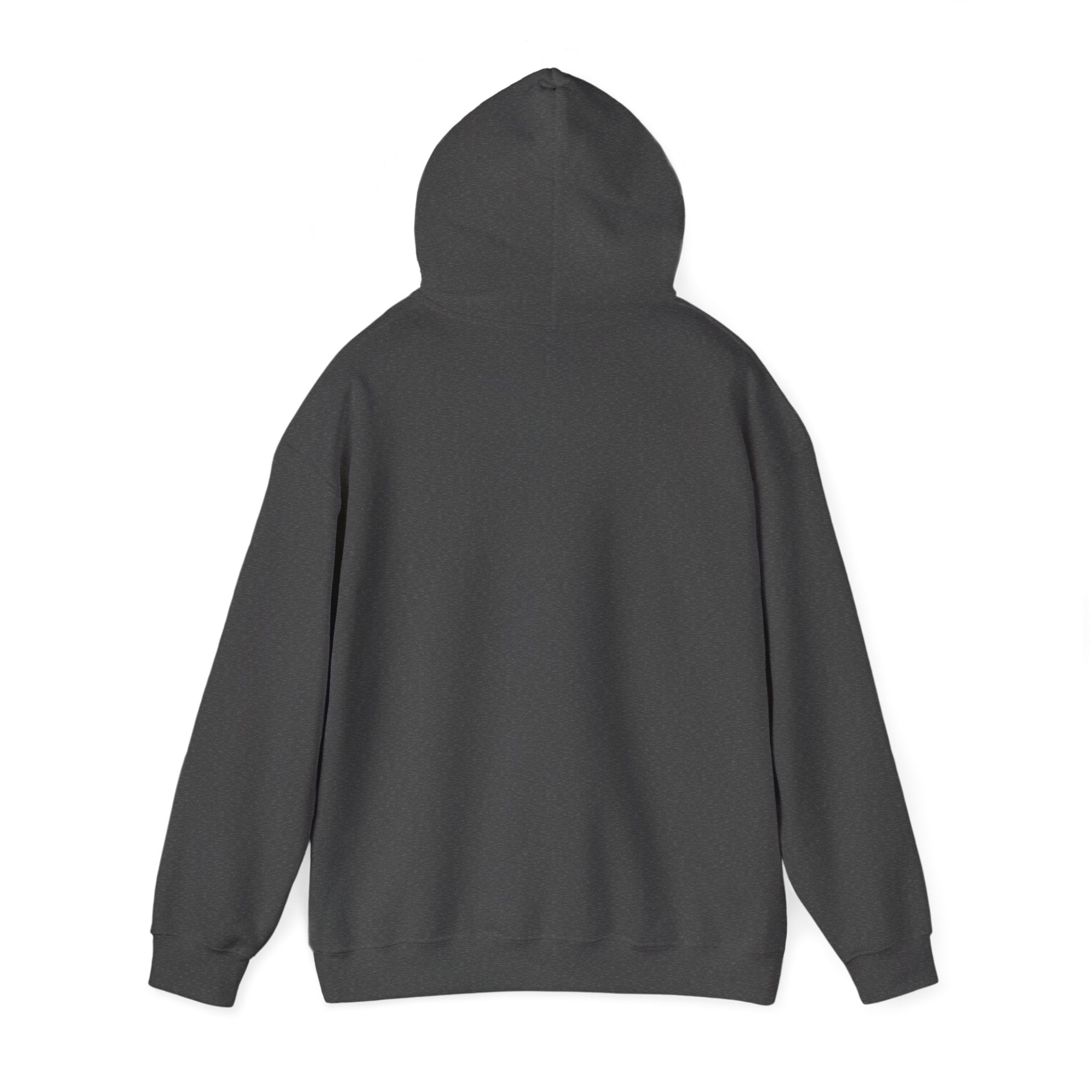 Four Winds Hooded Sweatshirt | Cozy Unisex Sweatshirt for All Seasons, Gift for Nature Lovers, Casual Wear, Travel Hoodie