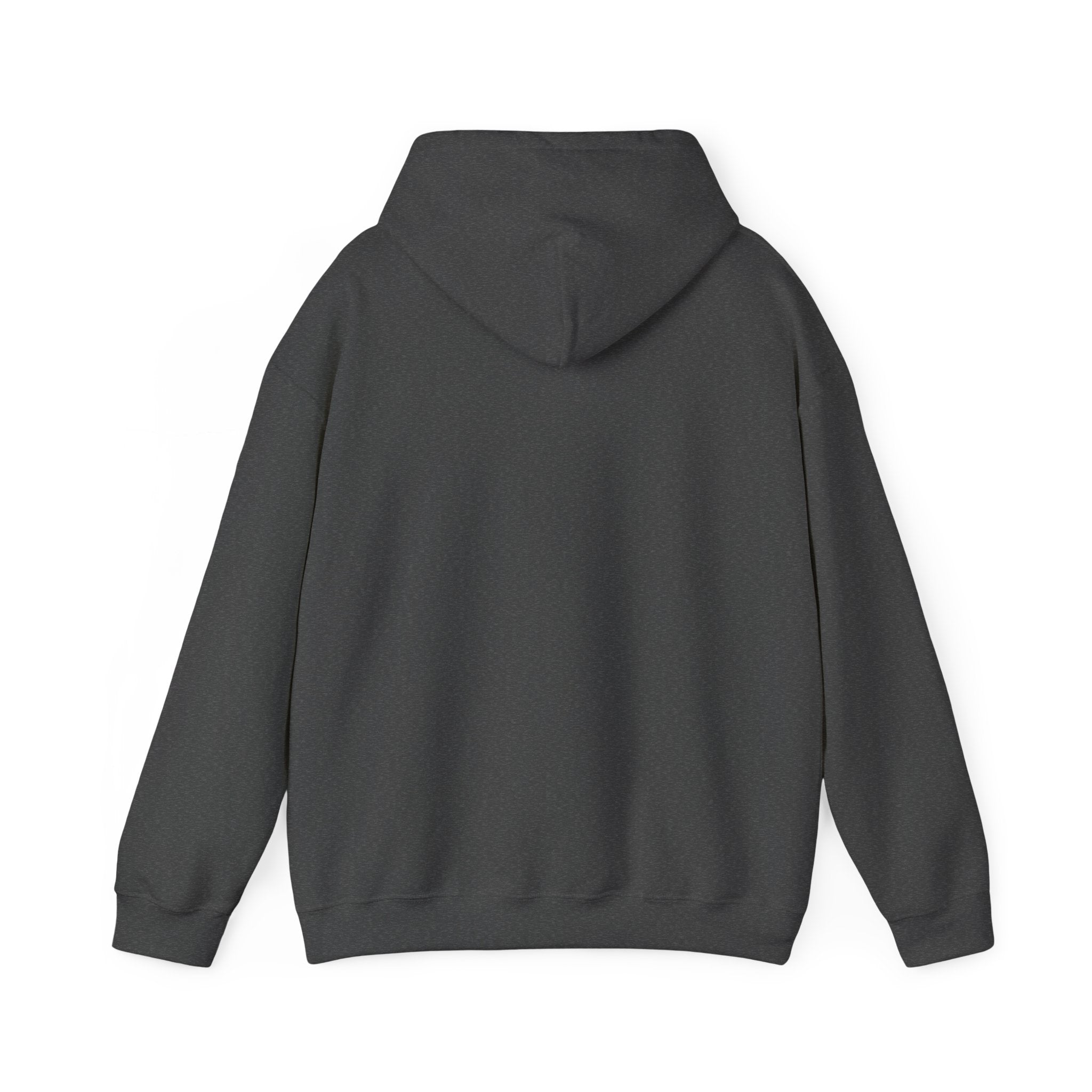 Four Winds Hooded Sweatshirt | Cozy Unisex Sweatshirt for All Seasons, Gift for Nature Lovers, Casual Wear, Travel Hoodie