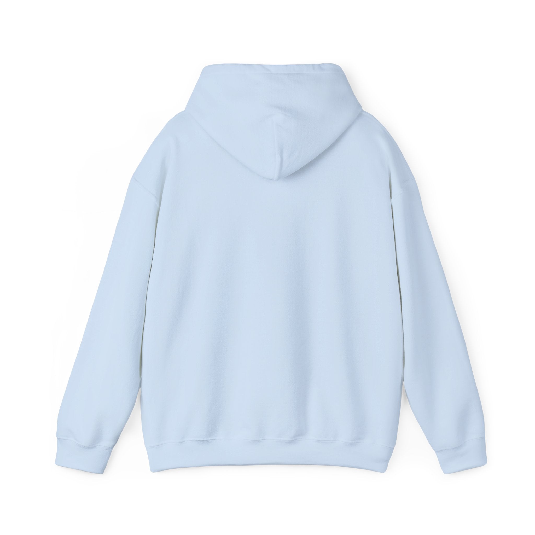 Four Winds Hooded Sweatshirt | Cozy Unisex Sweatshirt for All Seasons, Gift for Nature Lovers, Casual Wear, Travel Hoodie