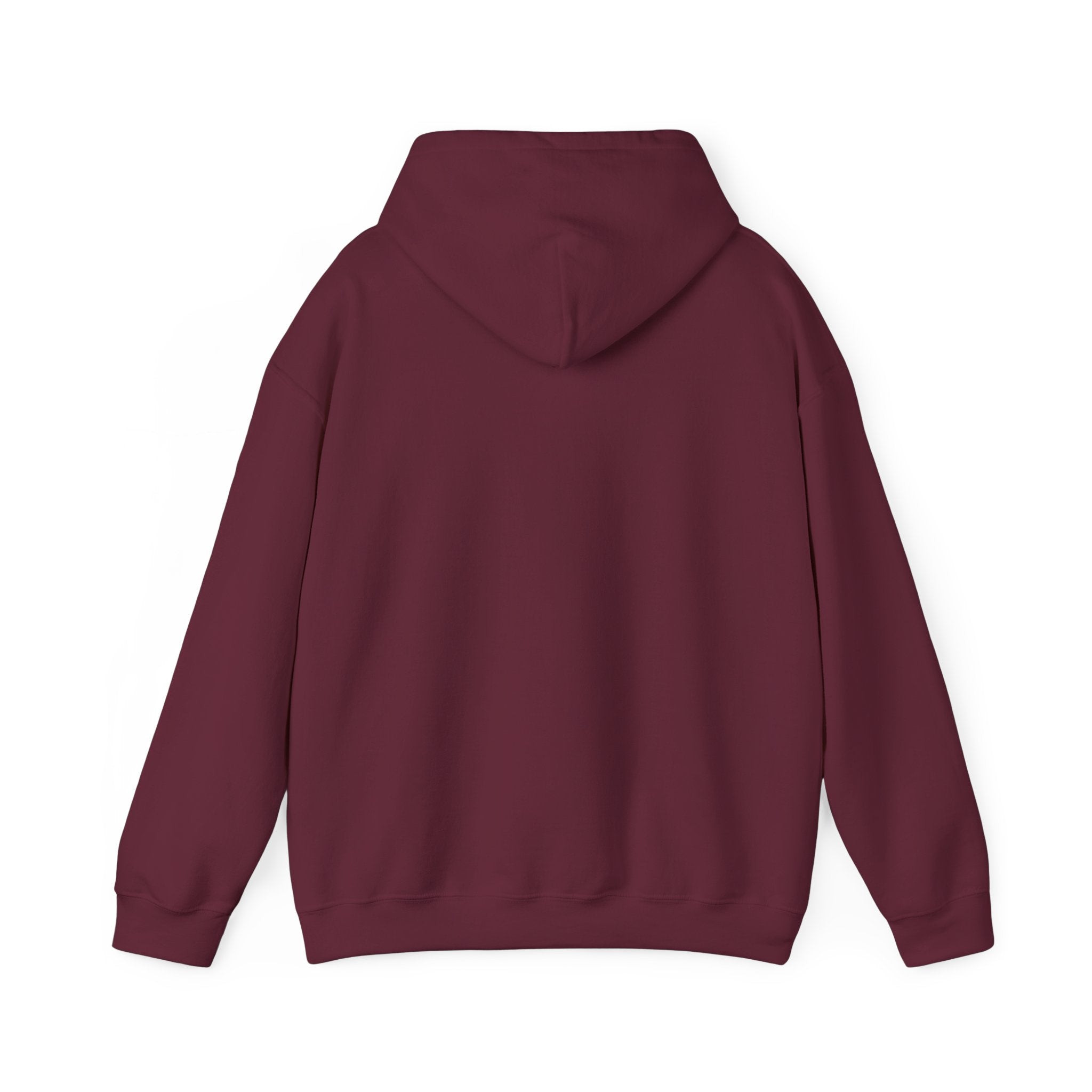 Four Winds Hooded Sweatshirt | Cozy Unisex Sweatshirt for All Seasons, Gift for Nature Lovers, Casual Wear, Travel Hoodie