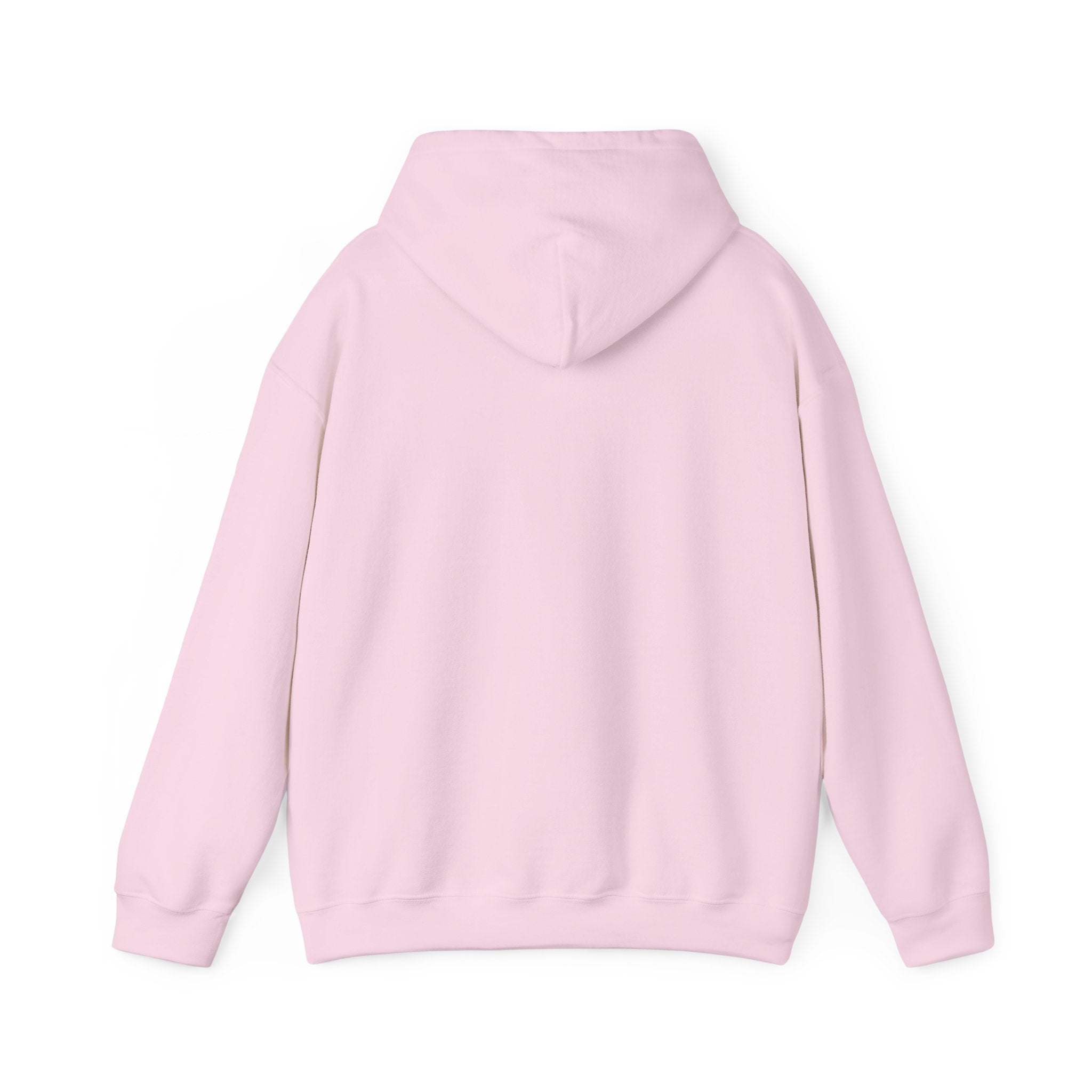 Four Winds Hooded Sweatshirt | Cozy Unisex Sweatshirt for All Seasons, Gift for Nature Lovers, Casual Wear, Travel Hoodie