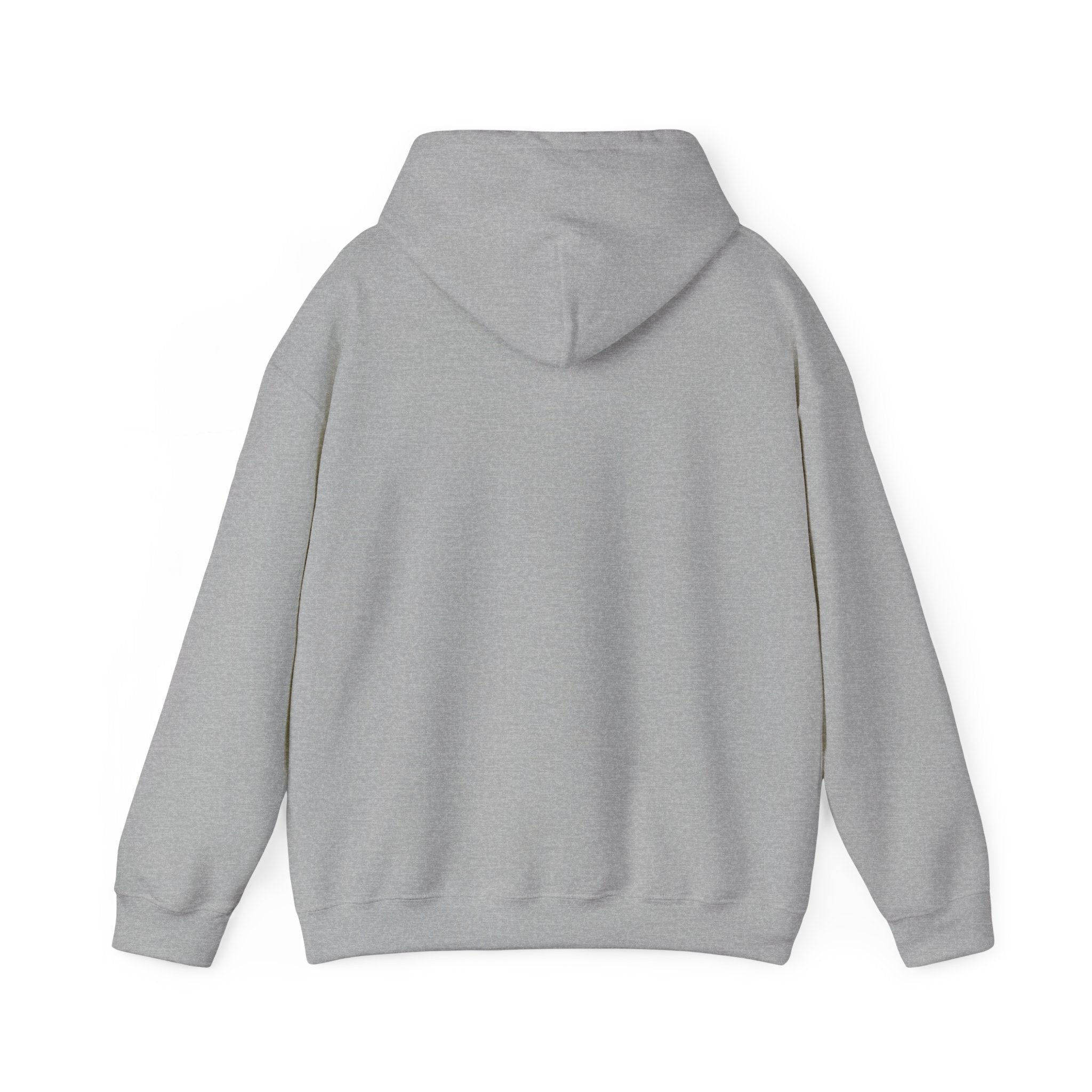Four Winds Hooded Sweatshirt | Cozy Unisex Sweatshirt for All Seasons, Gift for Nature Lovers, Casual Wear, Travel Hoodie