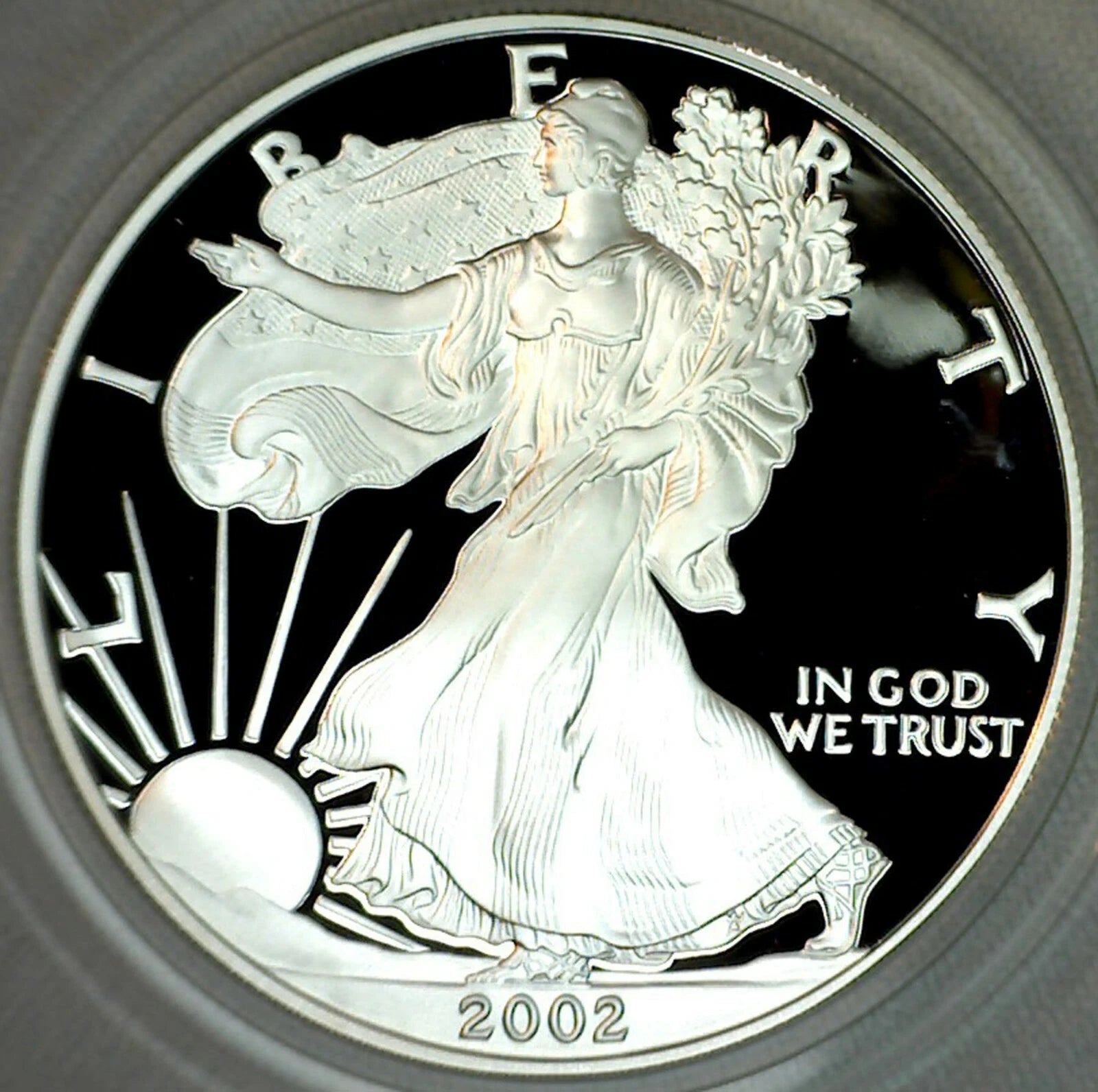 2002-W American Silver Eagle 1 oz Proof Silver Dollar Box & COA