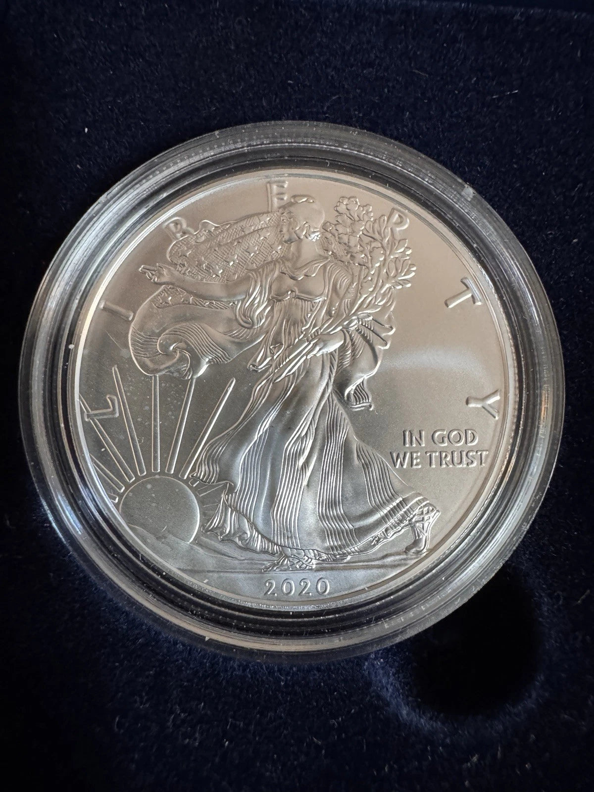 2020-W American Silver Eagle 1 oz Burnished Uncirculated Coin OGP & COA