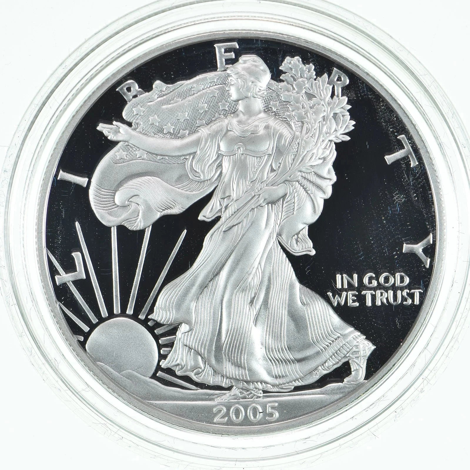 2005-W American Silver Eagle 1 oz Burnished Uncirculated Coin Box & COA